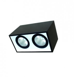 ĐÈN LED DOWNLIGHT GẮN NỔI CHIẾU SÂU 2x10W (DFB2101)