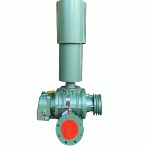 MÁY THỔI KHÍ HONGRUN 100- 7,5KW -THIẾT BỊ NUÔI TÔM