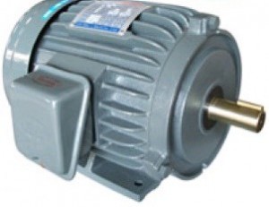 Motor vtc-Thiết bị nuôi tôm