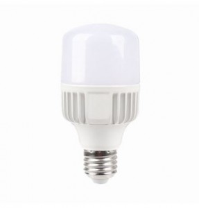 BÓNG TRỤ LED CÔNG SUẤT CAO 10W (SBNL810)