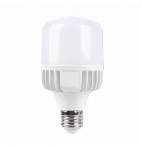 BÓNG TRỤ LED CÔNG SUẤT CAO 15W (SBNL815)